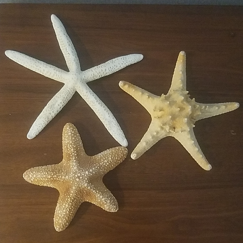 Beach Decor - 3 Starfish